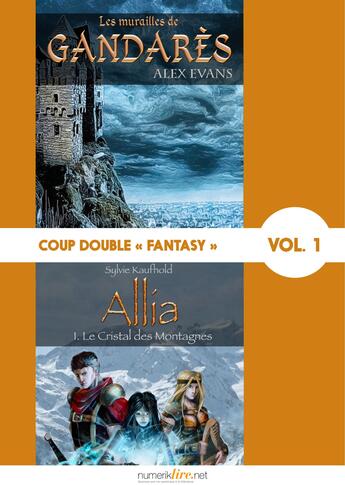 Couverture du livre « Coup double « Fantasy » t.1 » de Evans Alex et Sylvie Kaufhold aux éditions Numeriklivres