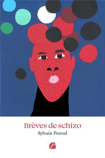 Couverture du livre « Brèves de schizo » de Sylvain Petrod aux éditions Editions Du Panthéon