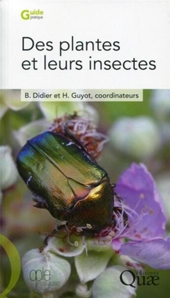 Couverture du livre « Des plantes et leurs insectes » de Bruno Didier et Herve Guyot aux éditions Quae