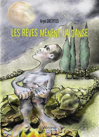 Couverture du livre « Les rêves mènent la danse » de Arye Dreyfus aux éditions Verone