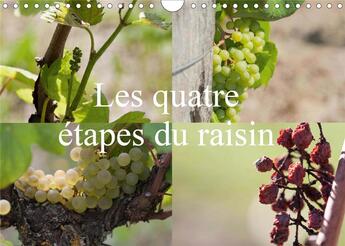 Couverture du livre « Les quatre etapes du raisin calendrier mural 2020 din a4 horizontal - le raisin le nectar des dieux » de Illam Daniel aux éditions Calvendo