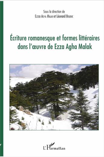 Couverture du livre « Écriture romanesque et formes littéraires dans l'oeuvre de Ezza Agha malak » de Ezza Agha Malak et Léonard Bolduc aux éditions L'harmattan