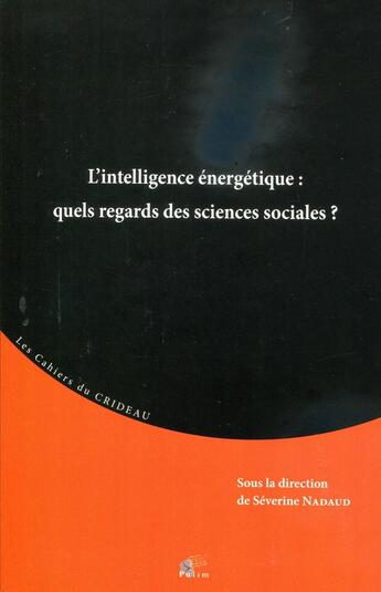 Couverture du livre « L' Intelligence énergétique : quels regards des sciences sociales? » de Severine Nadaud aux éditions Pu De Limoges