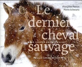 Couverture du livre « Le dernier cheval sauvage ; dans les pas du Przewalski » de Pierre Schwartz et Francoise Perriot aux éditions Belin Equitation