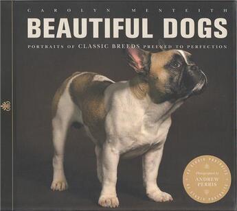 Couverture du livre « Beautiful dogs » de Menteith aux éditions Ivy Press