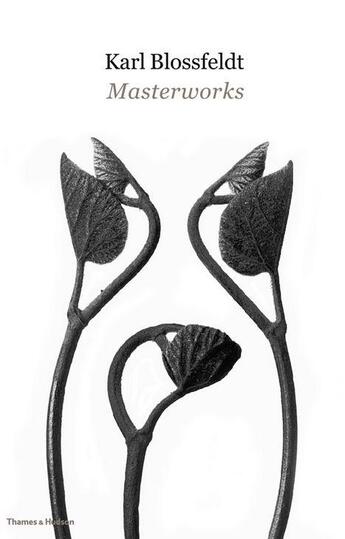 Couverture du livre « Karl blossfeldt masterworks » de Blossfeldt Karl aux éditions Thames & Hudson