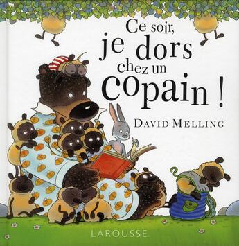 Couverture du livre « Ce soir, je dors chez un copain ! » de David Melling aux éditions Larousse