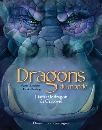 Couverture du livre « Dragons du monde : Liam et le dragon de Cracovie » de Martine Latulippe et Fabrice Boulanger aux éditions Dominique Et Compagnie