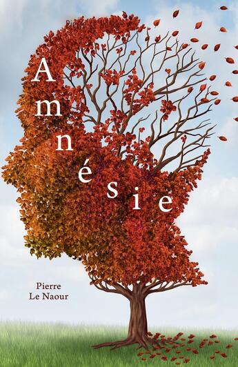 Couverture du livre « Amnésie » de Pierre Le Naour aux éditions Librinova