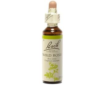 Couverture du livre « Fleurs de bach original n 37 wild rose - 20 ml » de  aux éditions Dg-exodif