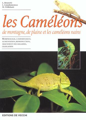 Couverture du livre « Le cameleon » de Massimo Millefanti aux éditions De Vecchi