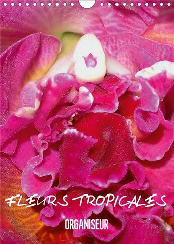 Couverture du livre « Fleurs tropicales organiseur calendrier mural 2020 din a4 vertical - la splendeur des fleurs tropic » de Blank Rudolf aux éditions Calvendo