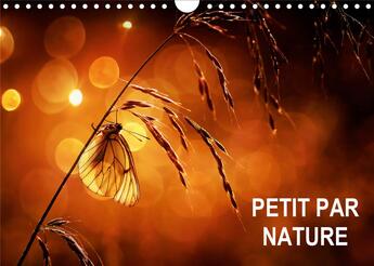 Couverture du livre « Petit par Nature (Calendrier mural 2020 DIN A4 horizontal) ; Sélection de photographies macro (Calendrier mensuel, 14 Pages ) » de Steyaert Didier aux éditions Calvendo