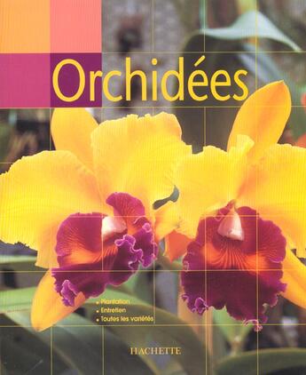 Couverture du livre « Orchidees » de Rittershausen aux éditions Hachette Pratique