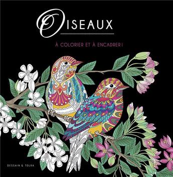 Couverture du livre « Oiseaux ; à colorier et à encadrer ! » de  aux éditions Dessain Et Tolra