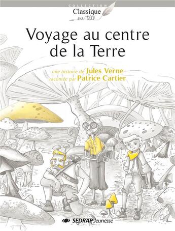 Couverture du livre « Voyage au centre de la terre- lot de 5 romans » de Patrice Cartier aux éditions Sedrap