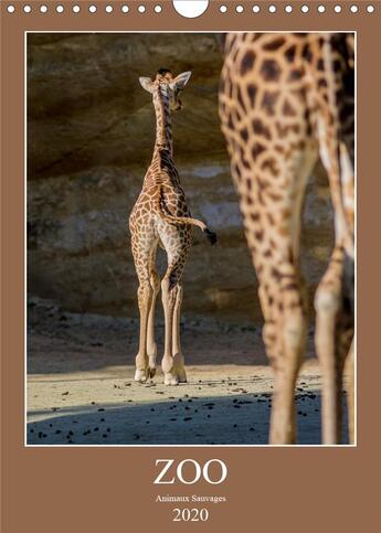 Couverture du livre « Zoo animaux sauvages calendrier mural 2020 din a4 vertical - animaux sauvages calendrier me » de Franckfotograph aux éditions Calvendo