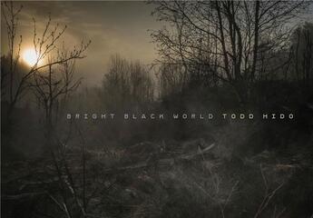 Couverture du livre « Todd hido bright black world » de Hido Todd aux éditions Nazraeli