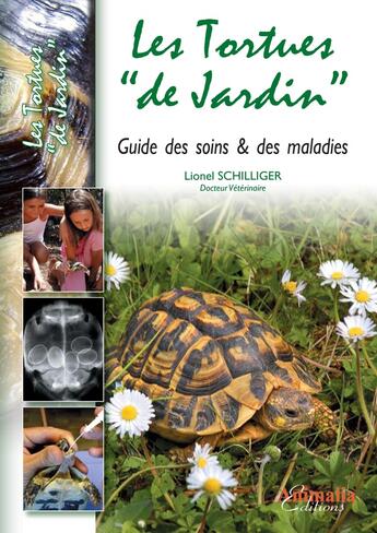 Couverture du livre « Les tortues 