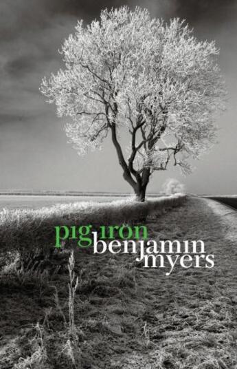 Couverture du livre « Pig Iron » de Myers Benjamin aux éditions Bluemoose Books Ltd