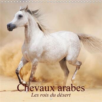 Couverture du livre « Chevaux arabes les rois du desert calendrier mural 2020 300 300 mm square - des creatures legendaire » de Stanzer Elisabe aux éditions Calvendo