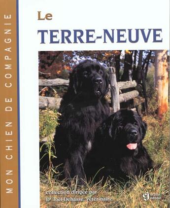 Couverture du livre « Terre neuve » de Joel Dehasse aux éditions Le Jour