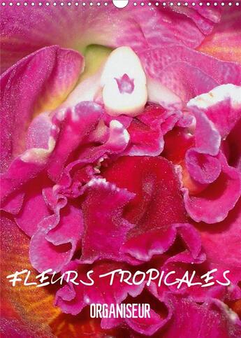 Couverture du livre « Fleurs tropicales organiseur calendrier mural 2020 din a3 vertical - la splendeur des fleurs tropic » de Blank Rudolf aux éditions Calvendo