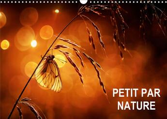 Couverture du livre « Petit par Nature (Calendrier mural 2020 DIN A3 horizontal) ; Sélection de photographies macro (Calendrier mensuel, 14 Pages ) » de Steyaert Didier aux éditions Calvendo