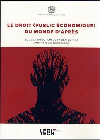 Couverture du livre « Le droit (public économique) du monde d'après » de Fabien Bottini aux éditions Legitech