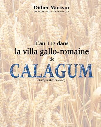 Couverture du livre « L'an 117 dans la villa gallo-romaine de Calagum » de Didier Moreau aux éditions Books On Demand