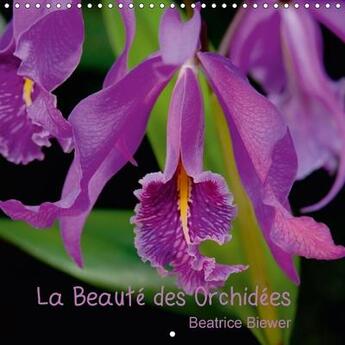 Couverture du livre « La beaute des orchidees calendrier mural 2018 300 300 mm squ - des fleurs fascinantes au form » de Biewer B aux éditions Calvendo