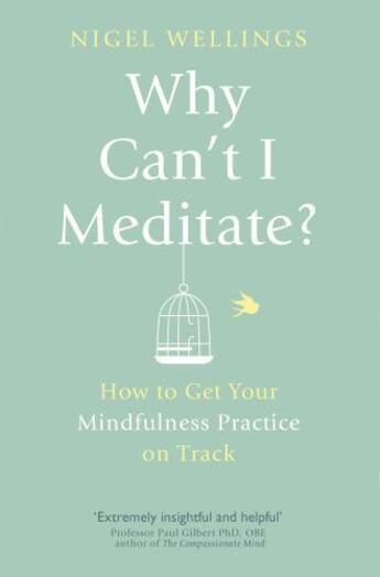 Couverture du livre « Why Can't I Meditate? » de Wellings Nigel aux éditions Little Brown Book Group Digital