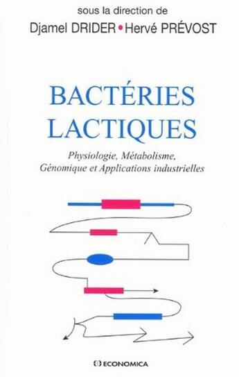 Couverture du livre « Bacterie lactique » de Djamel Drider aux éditions Economica