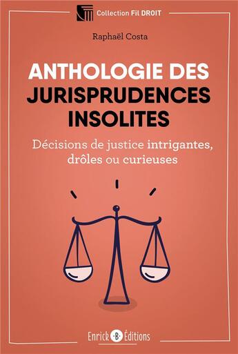 Couverture du livre « Anthologie des jurisprudences insolites ; décisions de justice intrigantes, drôles ou curieuses » de Raphael Costa aux éditions Enrick B.