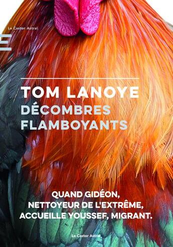 Couverture du livre « Décombres flamboyants » de Tom Lanoye aux éditions Castor Astral