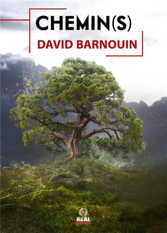 Couverture du livre « Chemin(s) » de David Barnouin aux éditions Alter Real