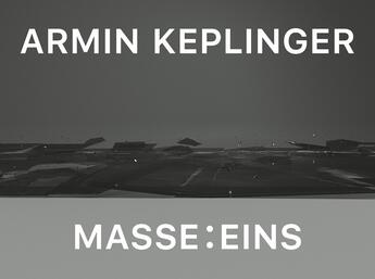 Couverture du livre « Armin Keplinger : masse ... eins : cat. kunstverein heilbronn » de Matthia Lobke et Armin Keplinger aux éditions Snoeck