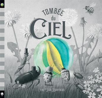 Couverture du livre « Tombée du ciel » de Terry Fan et Eric Fan aux éditions Little Urban