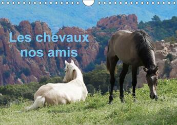 Couverture du livre « Les chevaux nos amis calendrier mural 2018 din a4 horizontal - une serie de photos de nos ami » de Lack P aux éditions Calvendo