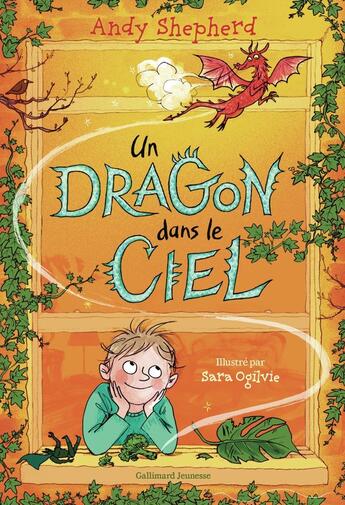 Couverture du livre « Un dragon dans le ciel » de Andy Shepherd aux éditions Gallimard-jeunesse