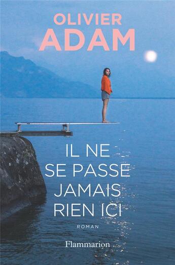 Couverture du livre « Il ne se passe jamais rien ici » de Olivier Adam aux éditions Flammarion