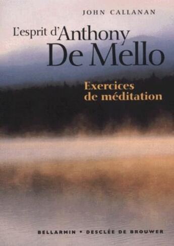 Couverture du livre « L'esprit d'Anthony de Mello ; exercices de méditation » de John Callanan aux éditions Desclee De Brouwer