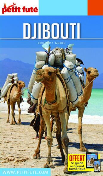 Couverture du livre « GUIDE PETIT FUTE ; COUNTRY GUIDE ; Djibouti (édition 2020/2021) » de  aux éditions Le Petit Fute