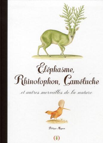 Couverture du livre « Eléphasme, rhinolophon, cameluche et autres merveilles de la nature » de Philippe Mignon aux éditions Des Grandes Personnes