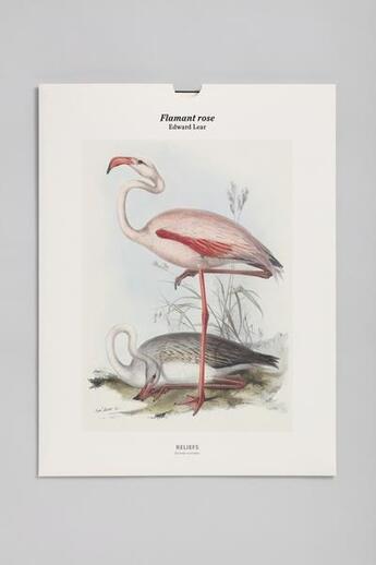 Couverture du livre « Tirage BNF : flamant rose » de Edward Lear aux éditions Reliefs Editions