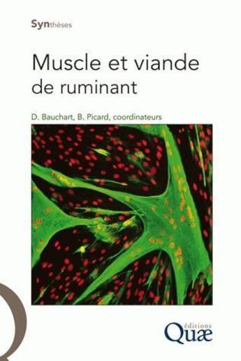 Couverture du livre « Muscle et viande de ruminant » de Brigitte Picard et Dominique Bauchard aux éditions Quae