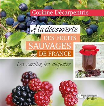 Couverture du livre « À la découverte des fruits sauvages de France ; les cueillir, les déguster » de Corinne Decarpentrie aux éditions L'harmattan