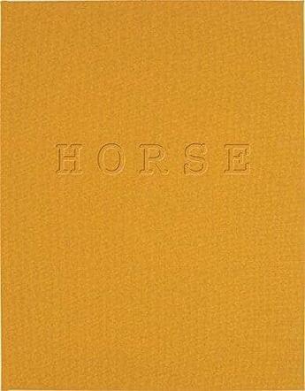 Couverture du livre « Jitka hanzlova horse /anglais/allemand » de John Berger aux éditions Walther Konig