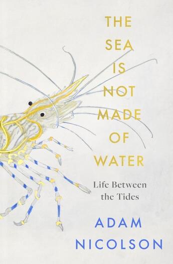 Couverture du livre « THE SEA IS NOT MADE OF WATER - LIFE BETWEEN THE TIDES » de Adam Nicolson aux éditions William Collins