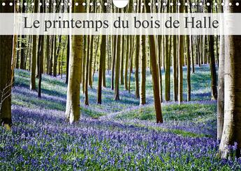 Couverture du livre « Le printemps du bois de halle calendrier mural 2020 din a4 horizontal - hallerbos la foret feerique » de Patrick Bombaer aux éditions Calvendo